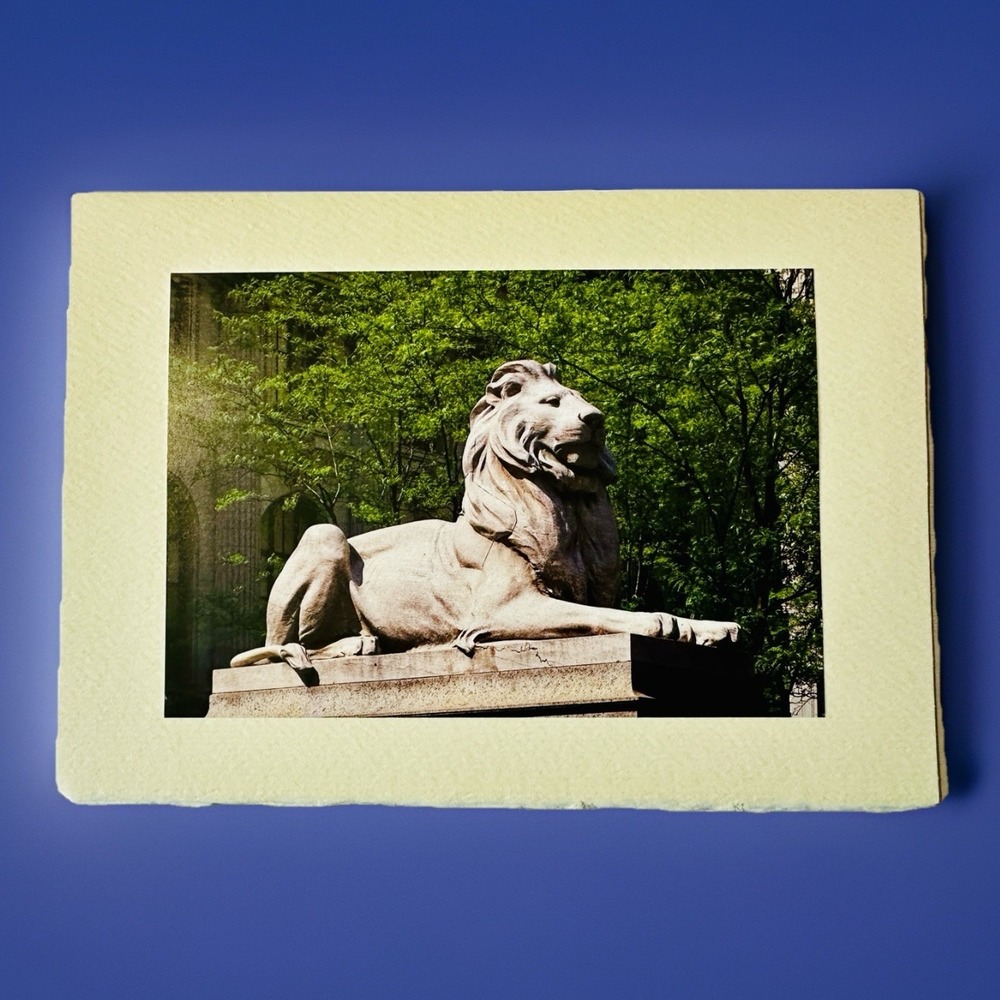 Newβ York Public Library Lion "Fortitude" Blank Notecard & Envelope Set